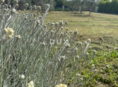 Zemljiste, Marčana, Loborika, prodaja, 302800 €, 3028 m2