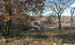 Zemljiste, Bale, prodaja, 290000 €, 2403 m2