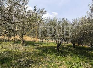 Zemljiste, Buzet, Juradi, prodaja, 37000 €, 1019 m2