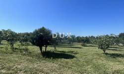 Zemljiste, Marčana, Rakalj, prodaja, 83000 €, 1200 m2