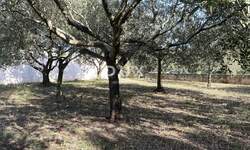 Zemljiste, Medulin, Pomer, prodaja, 309000 €, 500 m2