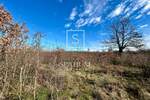Zemljiste, Svetvinčenat, Juršići, prodaja, 210000 €, 11814 m2