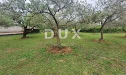 Zemljiste, Svetvinčenat, Juršići, prodaja, 24800 €, 392 m2