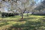 Zemljiste, Svetvinčenat, Juršići, prodaja, 26250 €, 392 m2
