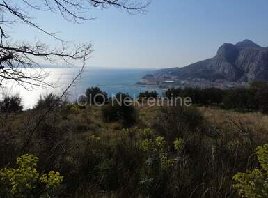Zemljiste, Omiš, Borak, prodaja, 308000 €, 1183 m2