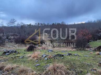 Zemljiste, Klana, Breza, prodaja, 612000 €, 11797 m2