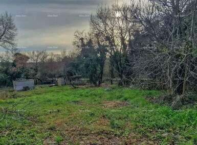 Zemljiste, Brtonigla, prodaja, 99500 €, 0 m2