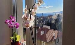 Dvosoban stan, Rijeka, Potok, najam, 600 €, 45 m2