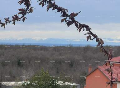 Zemljiste, Brtonigla, prodaja, 515000 €, 0 m2