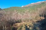 Zemljiste, Buzet, prodaja, 29000 €, 4280 m2