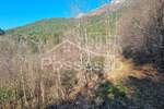 Zemljiste, Buzet, prodaja, 29000 €, 4280 m2