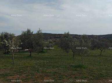 Zemljiste, Poreč, prodaja, 570600 €, 0 m2