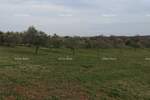 Zemljiste, Poreč, prodaja, 570600 €, 0 m2