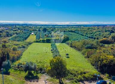 Zemljiste, Umag, prodaja, 140000 €, 506 m2