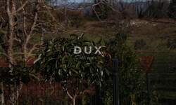 Zemljiste, Labin, prodaja, 45000 €, 743 m2