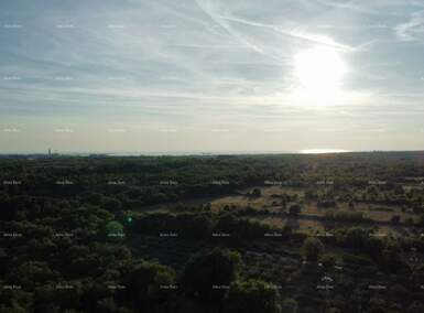 Zemljiste, Vodnjan, prodaja, 350000 €, 0 m2