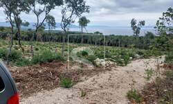 Zemljiste, Marčana, Kavran, prodaja, 14300 €, 318 m2