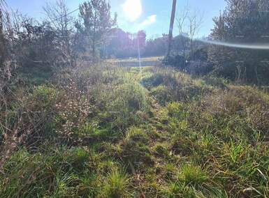 Zemljiste, Medulin, prodaja, 145000 €, 0 m2