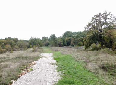 Zemljiste, Svetvinčenat, prodaja, 60000 €, 0 m2