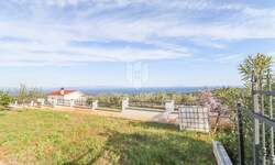 Zemljiste, Marčana, Pavićini, prodaja, 155000 €, 873 m2