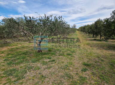 Zemljiste, Benkovac, prodaja, 20000 €, 1278 m2