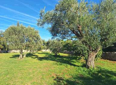 Zemljiste, Peroj, prodaja, 77000 €, 0 m2