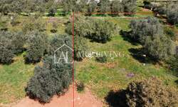 Zemljiste, Buje, Kaštel, prodaja, 170000 €, 1250 m2