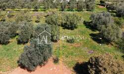 Zemljiste, Buje, Kaštel, prodaja, 170000 €, 1200 m2