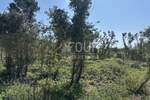 Zemljiste, Medulin, prodaja, 19150 €, 403 m2
