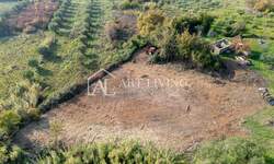 Zemljiste, Buje, prodaja, 50000 €, 2700 m2