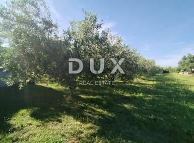 Zemljiste, Medulin, prodaja, 50000 €, 1508 m2