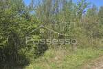 Zemljiste, Buzet, prodaja, 11000 €, 4835 m2