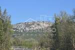 Zemljiste, Buzet, prodaja, 11000 €, 4835 m2