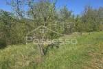 Zemljiste, Buzet, prodaja, 11000 €, 4835 m2