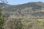 Zemljiste, Buzet, prodaja, 11000 €, 4835 m2