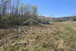 Zemljiste, Buzet, prodaja, 70000 €, 3376 m2
