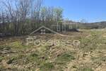 Zemljiste, Buzet, prodaja, 70000 €, 3376 m2