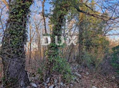 Zemljiste, Labin, prodaja, 12000 €, 11629 m2