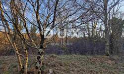 Zemljiste, Labin, prodaja, 20000 €, 21304 m2