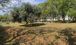 Kuca, Barban, Rebići, prodaja, 690000 €, 240 m2