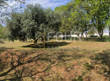 Kuca, Barban, Rebići, prodaja, 690000 €, 240 m2