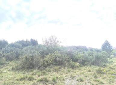 Zemljiste, Medulin, Premantura, prodaja, 62000 €, 1481 m2