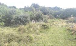 Zemljiste, Medulin, Premantura, prodaja, 27500 €, 669 m2