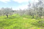 Zemljiste, Medulin, Premantura, prodaja, 796000 €, 2018 m2