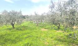 Zemljiste, Medulin, Premantura, prodaja, 796000 €, 2018 m2