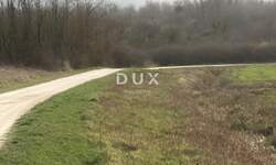 Zemljiste, Motovun, prodaja, 298000 €, 21234 m2