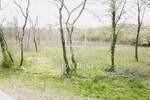 Zemljiste, Barban, prodaja, 82500 €, 1200 m2