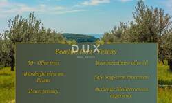 Zemljiste, Fažana, prodaja, 133500 €, 2163 m2