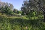 Zemljiste, Fažana, prodaja, 133500 €, 2163 m2