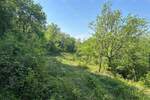 Zemljiste, Grožnjan, prodaja, 91500 €, 0 m2